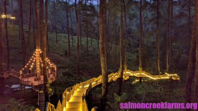 Tempat Healing Di Bandung Yang Bisa Kalian Coba Untuk Obati Stes Bekerja!